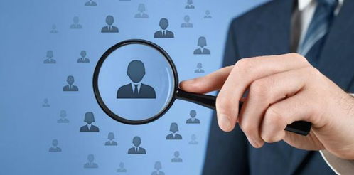 软件开发与图文设计 职业解析与前景展望